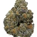 Monster cookie (Exotics)